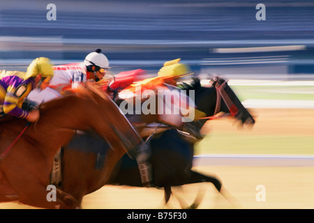 Trois cavaliers à cheval sur une piste de course Banque D'Images