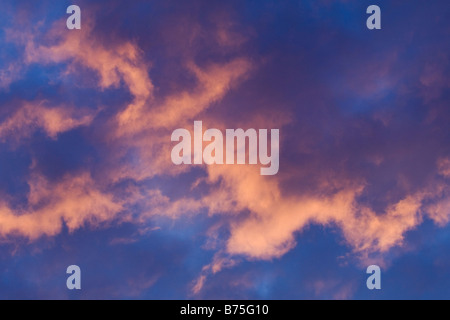 Lever du soleil dans les 'Goldenstedter Moor Moor' allemagne Banque D'Images