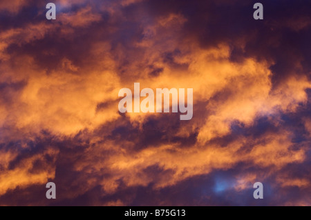 Lever du soleil dans les 'Goldenstedter Moor Moor' allemagne Banque D'Images