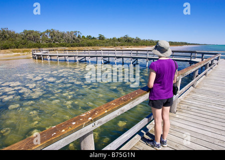 Un touriste à la recherche à l'thrombolites au lac Clifton dans Yalgorup National Park, près de Perth, Australie occidentale Banque D'Images