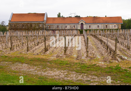 Bâtiment winery vineyard chateau la garde des Graves Bordeaux Pessac Léognan france Banque D'Images