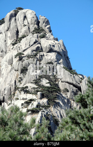 Lotus Peak, Huangshan Anhui Chine montagne jaune Banque D'Images