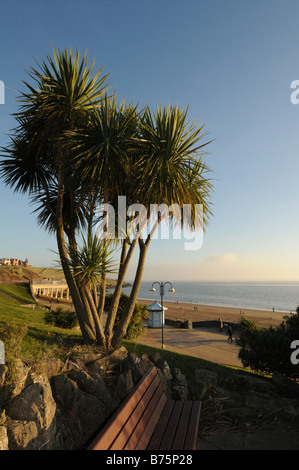 Plage et pointe de l'île de Barry Vale of Glamorgan South Wales Banque D'Images