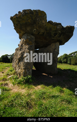 Lythans St long barrow mégalithique chambre funéraire près de St Nicholas Vallée de Glamorgan au Pays de Galles du Sud Banque D'Images