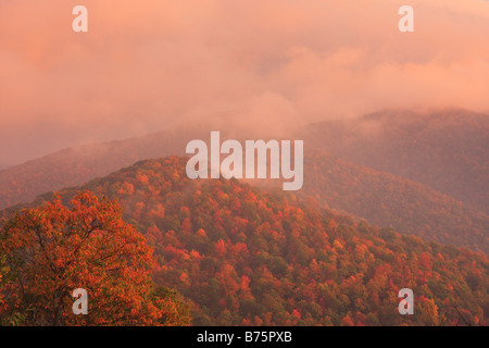 L'aube au sud de Mount Pisgah, Blue Ridge Parkway, North Carolina, USA Banque D'Images