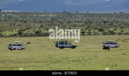 Massai mara est l'une des plus grandes réserves de chasse au Kenya Il borde le parc national du Serengeti en Tanzanie presque tous les types d'animaux sauvages peuvent être observés le parc est très populaire dans le monde des touristes droits fondamenteux Banque D'Images