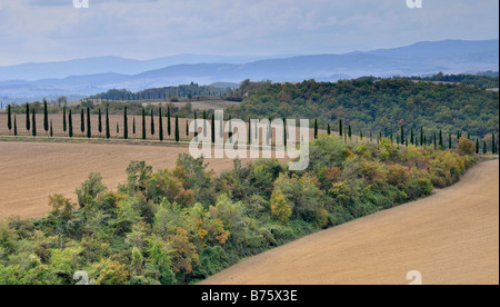 Belles couleurs d'automne paysage montrant de la Toscane est une attraction touristique ouverte toute l'année Banque D'Images