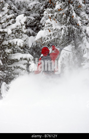 Vue arrière de l'arbre male skier ski en poudreuse fraîche profonde dans un blizzard alpe d huez France Banque D'Images