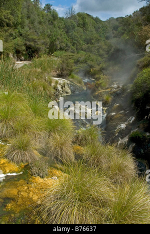 Le bain d'eau à la Vallée volcanique de Waimangu près de Rotorua, Nouvelle-Zélande Banque D'Images