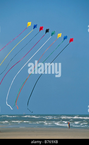 Le cerf-volant de la Frise orientale de Norderney îles de la mer du Nord Allemagne kites Banque D'Images