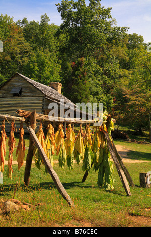 Le séchage du tabac, les roches à bosse ferme, Blue Ridge Parkway, Virginia, USA Banque D'Images