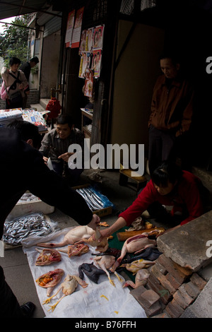 Matin à Guangzhou Chine boucher active, il est de tradition que les bouchers va quitter le poulets coupés avec borken oeufs Banque D'Images