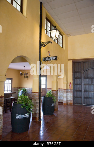 Bodegas Quitapenas Cave vin de Malaga, Andalousie, Espagne Banque D'Images