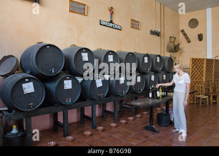 Bodegas Quitapenas Cave vin de Malaga, Andalousie, Espagne Banque D'Images