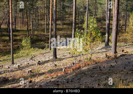 Meenikunno Réserve Paysage en Estonie Europe Banque D'Images