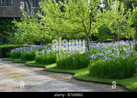 Bryan's Ground Garden, Herefordshire, Royaume-Uni, vu en 2008 avant la construction du canal. Iris sibirica (Iris sibérien) aligne l'approche de la maison Banque D'Images