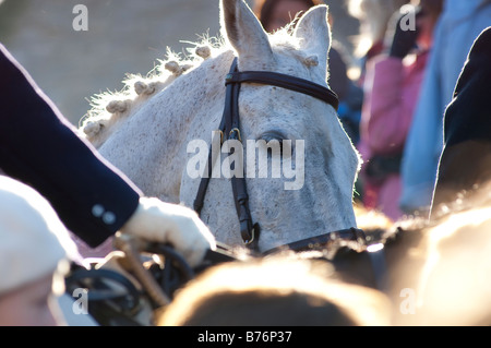 Teh Lacock Avon Vale hunt le lendemain Banque D'Images