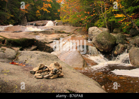 Kern et Cascade sur Cascade Brook, à côté d'Cascades-Basin Appalachain, sentier, sentier Lincoln, New Hampshire, USA Banque D'Images