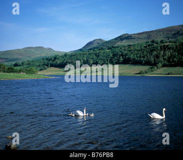 L'Irlande, comté de Sligo, glencar lough lake beauté dans la nature, , Banque D'Images