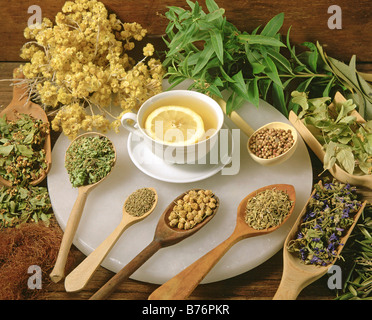 Les herbes médicinales still life Banque D'Images