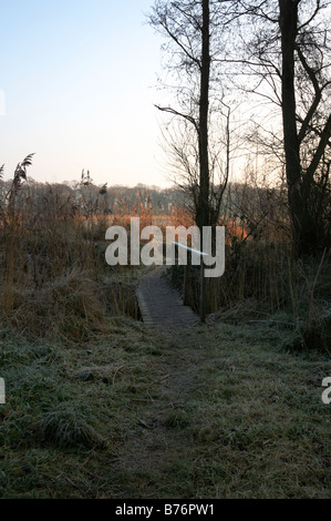 Petite passerelle à passerelle et point d'observation à Alderfen vaste réserve naturelle, Norfolk, Royaume-Uni. Banque D'Images