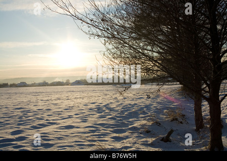 Coucher du soleil sur le champ d'hiver en Pologne. Banque D'Images