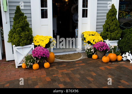 Citrouilles d'Halloween et les chrysanthèmes sur porte à Kennebunkport ME Maine New England United States of America USA Banque D'Images