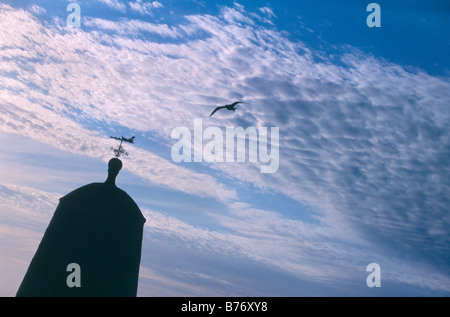 Mouette solitaire survolant un jalon dans l'Portreath, Cornwall, silhouetté contre altocumulus, UK Banque D'Images