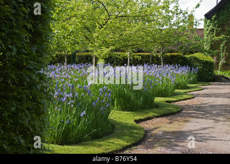 Bryan's Ground Garden, Herefordshire, Royaume-Uni, vu en 2008 avant la construction du canal. Iris sibirica (Iris sibérien) aligne l'approche de la maison Banque D'Images