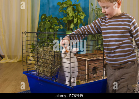 Garçon alimente un lapin domestique avec une carotte dans sa cage Banque D'Images