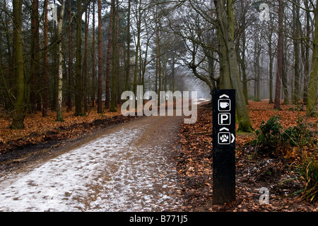 Direction des conseils sur un chemin à travers les bois. Banque D'Images