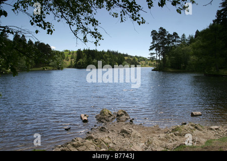 Lumière scintillante sur Tarn Howes Lake District Cumbria England Banque D'Images