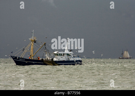 Chalutier de pêche sur la mer du Nord Banque D'Images