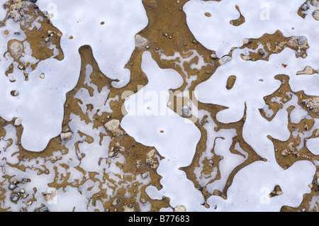 Différentes formes de glace dans une flaque, Bavaria, Germany, Europe Banque D'Images
