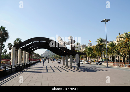 Promenade, Moll de la Fusta, Port Vell, Barcelone, Catalogne, Espagne, Europe Banque D'Images