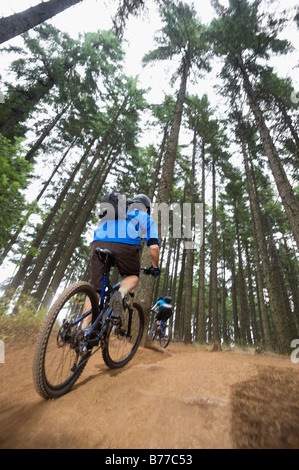 Vélo de montagne équitation forest Banque D'Images