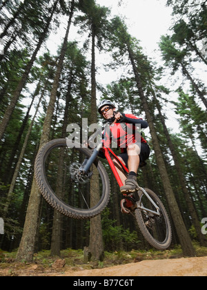 Mountain biker mid-air sur piste forestière Banque D'Images