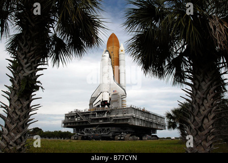 Image arbres Palmetto navette spatiale Endeavour qu'il descende vers l'aire de lancement. Banque D'Images