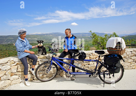 Couple avec tandem et Schnauzer nain, noir-argent, Provence, France, Europe Banque D'Images