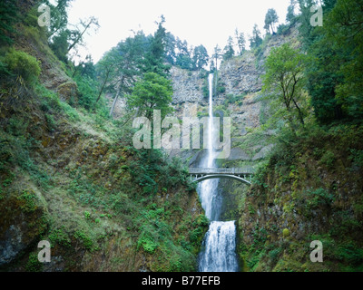 Multnomah Falls, Oregon Banque D'Images