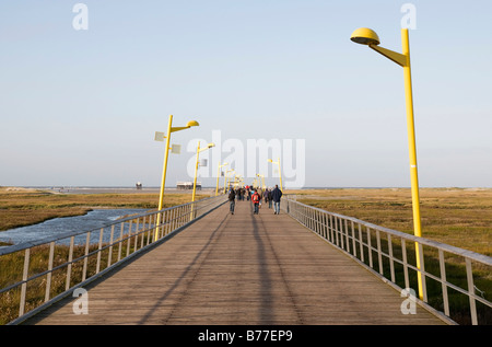 Promenade menant à la plage de Saint- Peter-Ording, Eiderstedt Péninsule, Schleswig-Holstein, Allemagne, Europe Banque D'Images