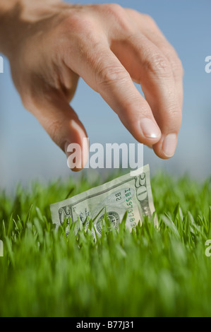 Close up of hand reaching pour vingt dollars Banque D'Images