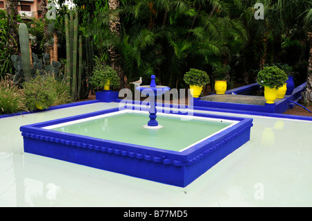 Bassin d'eau dans le Jardin Majorelle, Marrakech, Maroc, Afrique Banque D'Images