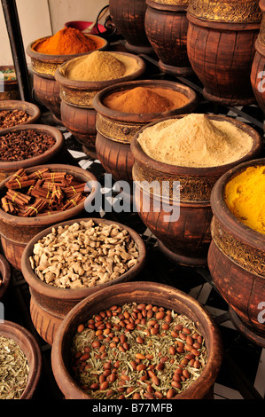 Les épices au souk, marché, dans la Medina, centre-ville historique de Marrakech, Maroc, Afrique Banque D'Images