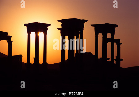 Colonnes de la ville désertique Palmyre au coucher du soleil, en Syrie, au Moyen-Orient, Orient Banque D'Images