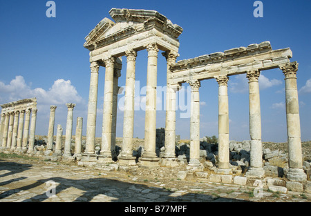 Rangée de colonnes romaines, les colonnades, Apamée, en Syrie, au Moyen-Orient, Orient Banque D'Images