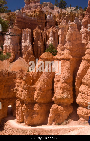 Un tunnel le long de la Queens Garden Trail dans l'Amphithéâtre de Bryce Bryce Canyon National Park Utah Banque D'Images