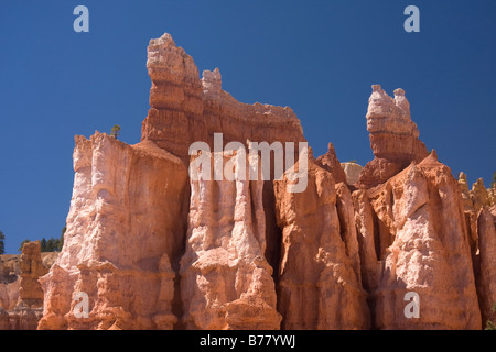 Les formations rocheuses le long de la Queens Garden Trail dans l'Amphithéâtre de Bryce Bryce Canyon National Park Utah Banque D'Images