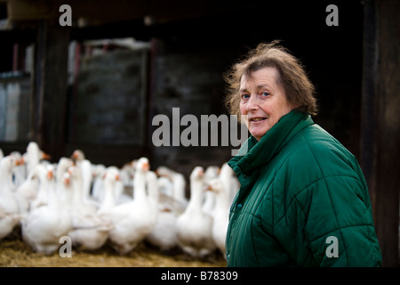 Judy Goodman avec son troupeau d'oies en liberté à l'Oie de Goodman dans le Worcestershire quelques semaines avant Noël 2008. Banque D'Images