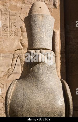 Close up de la statue d'Horus de Behdet sur le parvis à l'entrée de la première salle hypostyle, Temple d'Edfou Egypte Banque D'Images